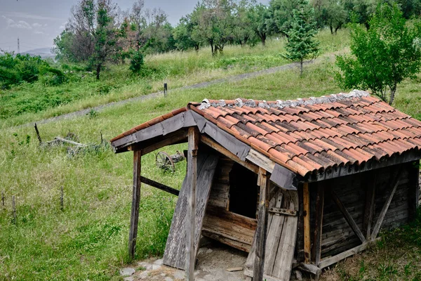 Ancienne Maison Village Abandonnée Friche Avec Herbe Verte Est Établi — Photo