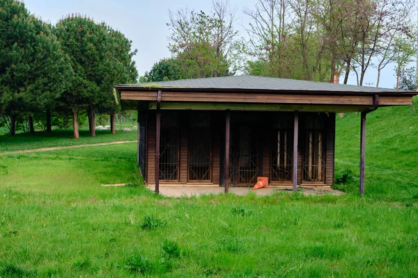 Une Minuscule Maison Bois Herbe Verte Dans Champ Agricole Parc — Photo