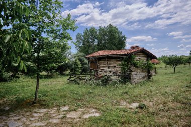Yeşil üzümlü ve merdivenli eski terk edilmiş köy evi. Doğada taş zemine kurulmuş. Arkaplan bulutlu ve bulutlu.