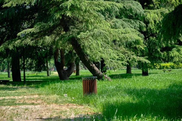 Waste basket and rubbish bin in a green public and nature park in Bursa during sunny day with playground background. Rubbish bin covered with wooden material on green grass.