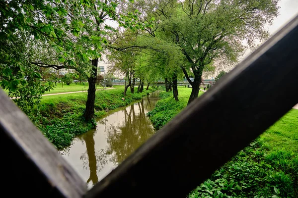 Carino Piccolo Ponte Legno Suo Riflesso Sul Piccolo Fiume Stagno — Foto Stock