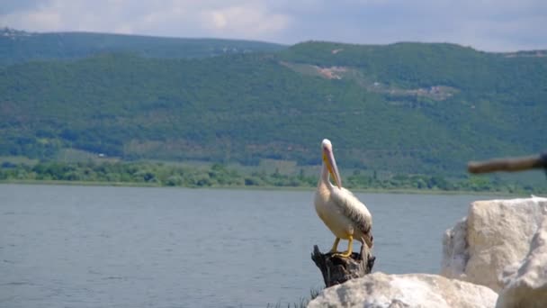 Golyazi Uluabat Bursa Turquía Grupo Personas Dentro Pesca Barco Turístico — Vídeos de Stock