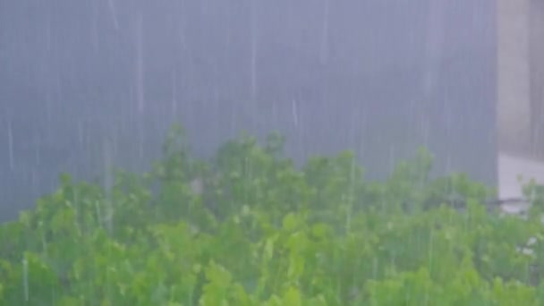 Важкий Дощ Металевий Дах Туманне Місто Бурсі — стокове відео