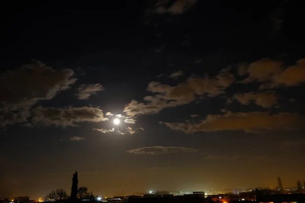 夜の光と空の満月と街の光と松の木の上の月の前の雲 — ストック写真