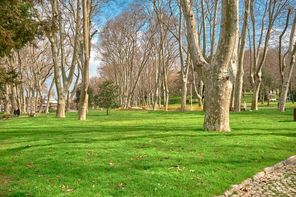 Parque Público Velho Maduro Gulhane Estabelecido Pelo Império Ottoman Istanbul — Fotografia de Stock