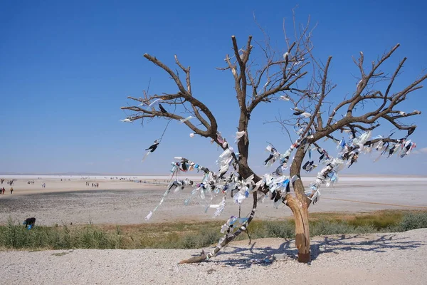 Turkey White Salina Salt Lake Many People White Ground Tree — Photo