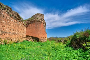 Nicaea 'daki eski ve antik şehir duvarı (iznik Bursa) Bizans tarafından yıkıntı ve taş mezarlarla kurulmuş, güneşli bir günde yeşil çimenler ve sarı çiçekler ve büyük çimenler boyunca uzanan küçük patika..