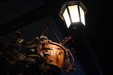 Çiçek saksısı vazosu ve kurutulmuş çiçek çatıda asılı ve parlak vazoda yansıyor.