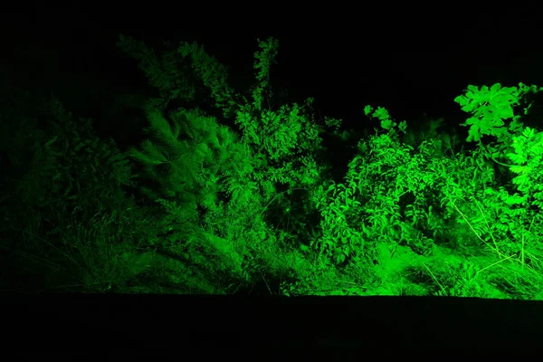 Árvore Verde Noite Está Iluminando Noite Com Verde — Fotografia de Stock