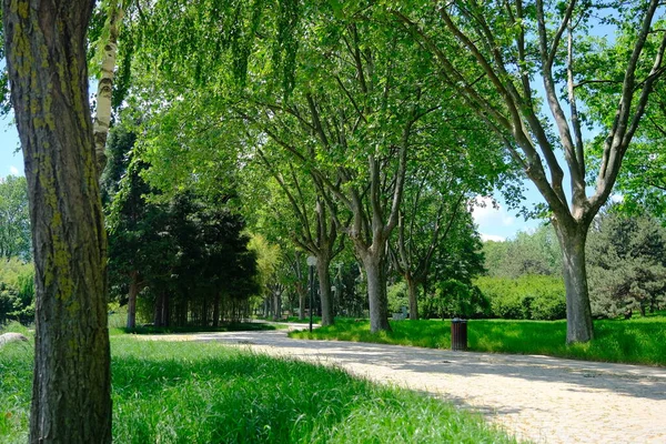 Camino Sucio Camino Parque Público Bursa Con Farolas Césped Verde — Foto de Stock