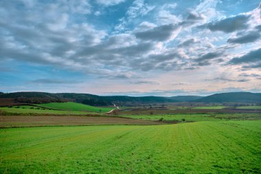 Küçük tepede muhteşem yeşil çimenler ve tepesinde büyük bulutlar. Hasattan önce tarım arazisi ve fotoğrafın çekildiği tepeden görünen küçük çakıl yolu..