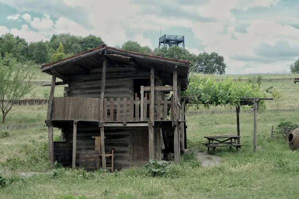 Kleines Altes Dorfhaus Mit Roten Ziegeldächern Inneren Grüner Und Lila — Stockfoto