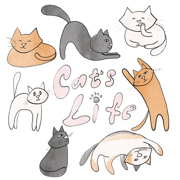 Farklı pozlardaki sevimli kediler.