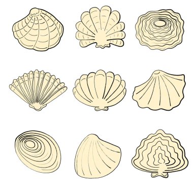 Sarı mürekkep kabukları.