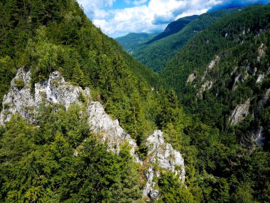 Romen Karpatlar 'da Görkemli Kaya ve Yeşil Dağlar Zirveye Çıktı