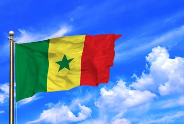 Birlik ve İlerlemenin Senegal Bayrak Renkleri