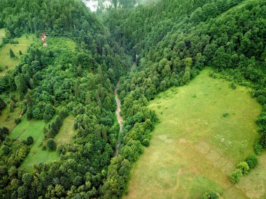 Romanya 'nın Carpahian Dağları' ndaki Yeşil Orman Çayırları ve Patikalarının Güzel Hava Manzarası