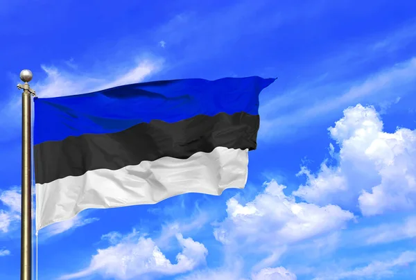 Estonya Mavisi Beyaz Çizgili Ulusal Bayrak Rüzgarda Dalgalanıyor Güzel Mavi Bir Yaz Gökyüzünde