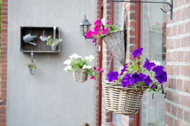 Duvarda asılı çiçekli sepet