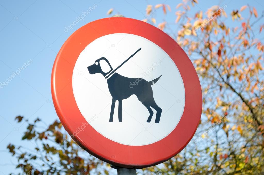 No dogs allowed sign