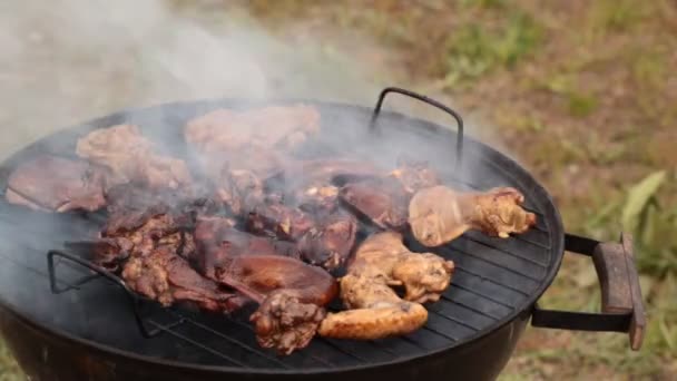 Barbecue preparation by grill. — Stock Video