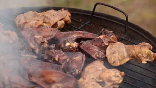 Barbacoa carne de pollo — Vídeo de stock