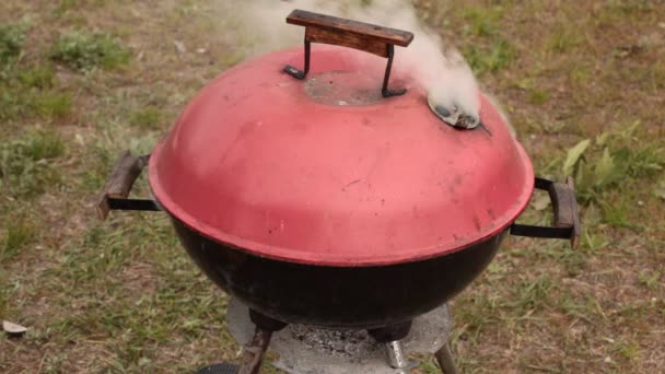 Barbecue Grill vlees — Stockvideo