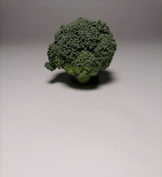 Broccoli Witte Achtergrond — Stockfoto