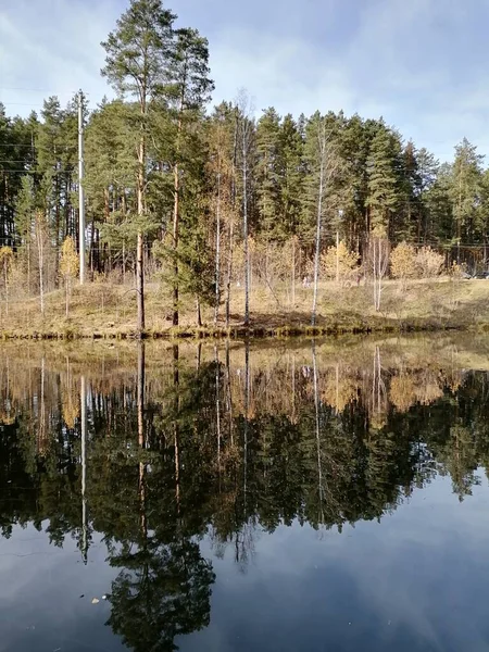 Jezioro Jesiennym Lesie Pod Błękitnym Niebem — Zdjęcie stockowe