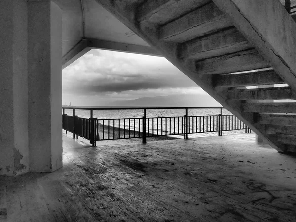 Écailles mer en noir et blanc — Photo