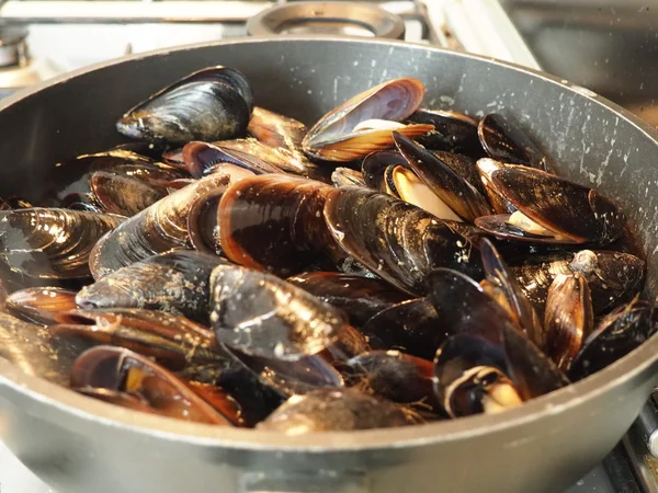Bir tavada midye