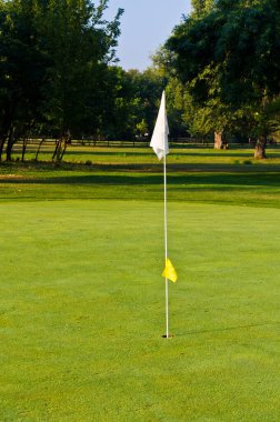 Bayrak direği golf sahasındaki deliğin konumunu belirlemek için kullanılan bir işarettir.