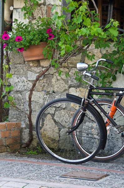 Δύο Ποδήλατα Αμπέλι Λουλούδια Και Ένα Παλιό Σπίτι Δίπλα Στη — Φωτογραφία Αρχείου