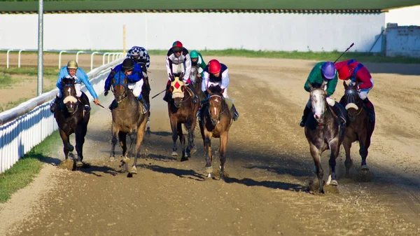 Afwerking Van Een Vlakke Paardenrace Racebaan Van Belgrado — Stockfoto