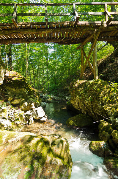 Wooden bridge over creek at Tara mountain and national park, west Serbia