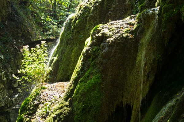 Cascada Bigar Parque Nacional Semenic Región Banat Oeste Rumania — Foto de Stock