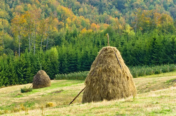 Viewpoint Landscape Mount Bobija Hills Haystacks Meadows Colorful Trees West — Stock Photo, Image