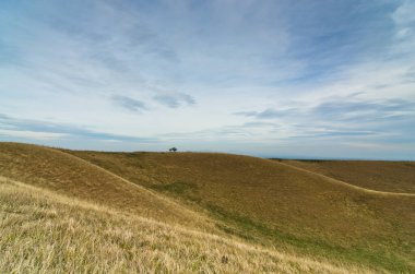 Kuzey Sırbistan 'da, koyu bulutların altında sarı çimlerle kaplı tepeler