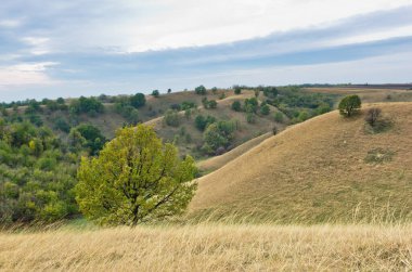 Kuzey Sırbistan 'da, yağmur bulutlarının altında sarı çimlerle kaplı tepeler