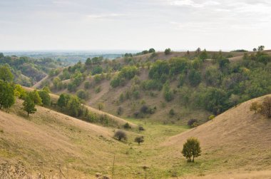 Sırbistan 'ın kuzeyinde sarı çimlerle kaplı küçük tepeler arasındaki vadi
