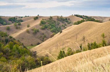 Güneşli sonbahar öğleden sonrasında, kuzey Sırbistan 'da sarı çimlerle kaplı tepelerin manzarası