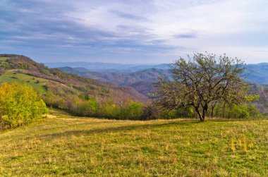 Homolje dağlarının manzarası güneşli bir sonbahar günü, Sırbistan 'ın doğusunda