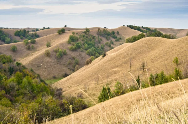 Güneşli sonbahar öğleden sonrasında, kuzey Sırbistan 'da sarı çimlerle kaplı tepelerin manzarası