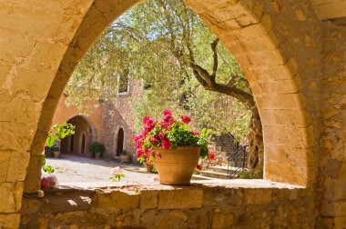 Yunanistan 'ın Girit adasında, güzel morumsu çiçeklerle ünlü bir Arcady manastırında saksı