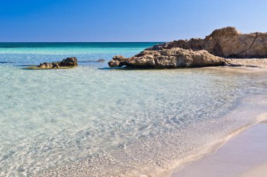 Elafonisi (Geyik Adası) dünyadaki cennet gibidir ve Yunanistan 'ın Girit adası olan pembe mercan kumu ve kristal suları olan harika bir plaja sahiptir.