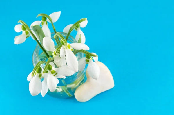 Fresh snowdrops bouquet on blue background — Stock Photo, Image