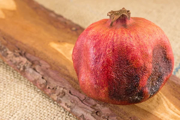 Natural homegrown grapefruit — Stock Photo, Image