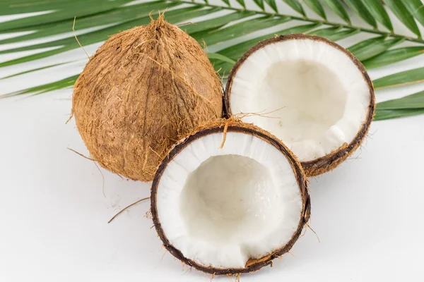 Noix de coco fraîches coupées en deux et entières avec feuilles — Photo