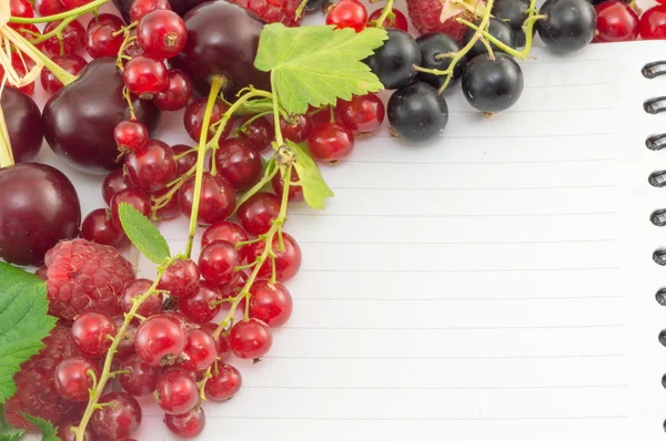 Frutta a bacca rossa su un notebook — Foto Stock