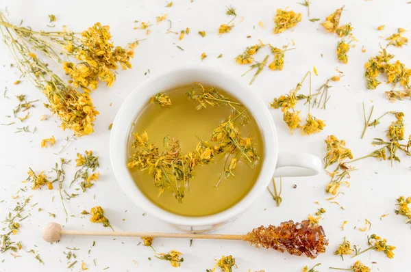 St Johns wort tea and surrounded by dried plants — Stock Photo, Image